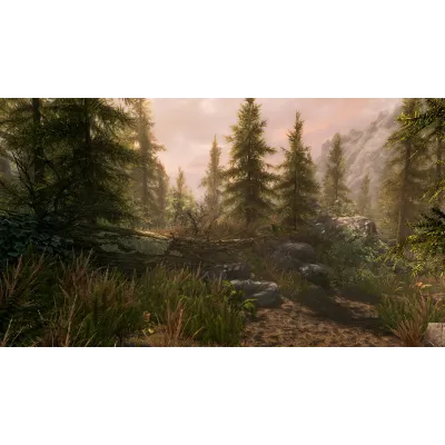The Elder Scrolls V Skyrim Anniversary Edition АВТО РФ - irongamers.ru