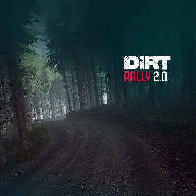 DiRT Rally 2.0 - Wales Rally PS4 ПСН PLAYSTATION - irongamers.ru