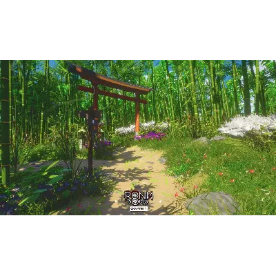 RONIN: Two Souls CHAPTER 1 КЛЮЧ STEAM РФ+СНГ - irongamers.ru