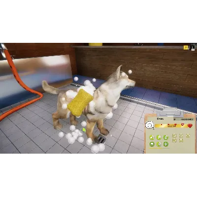Animal Shelter КЛЮЧ STEAM ВСЕ СТРАНЫ - irongamers.ru