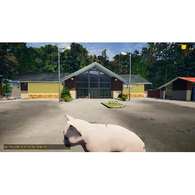 DLC Animal Shelter - Puppies & Kittens DLC КЛЮЧ STEAM - irongamers.ru