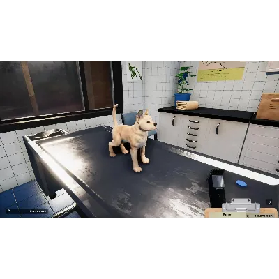 DLC Animal Shelter - Puppies & Kittens DLC КЛЮЧ STEAM - irongamers.ru