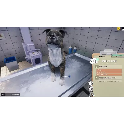 DLC Animal Shelter - Vet Clinic DLC КЛЮЧ STEAM ВСЕ СТ - irongamers.ru