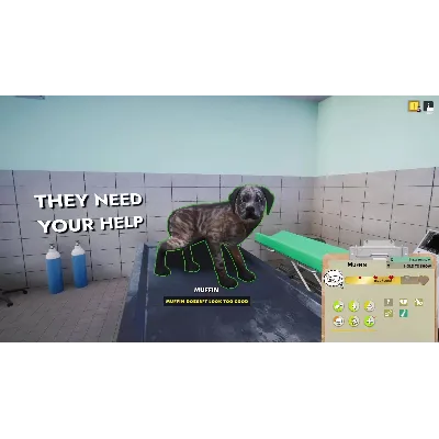DLC Animal Shelter - Vet Clinic DLC КЛЮЧ STEAM ВСЕ СТ - irongamers.ru
