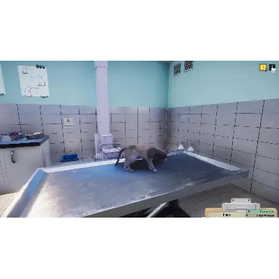 DLC Animal Shelter - Vet Clinic DLC КЛЮЧ STEAM ВСЕ СТ - irongamers.ru