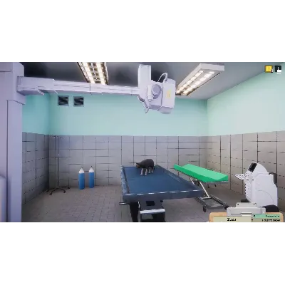 DLC Animal Shelter - Vet Clinic DLC КЛЮЧ STEAM ВСЕ СТ - irongamers.ru