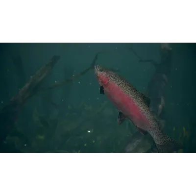 Ultimate Fishing Simulator 2 КЛЮЧ STEAM РФ+СНГ - irongamers.ru