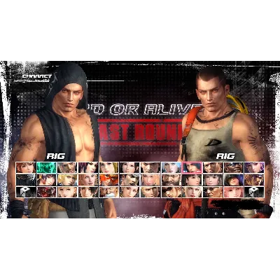 DEAD OR ALIVE 5 Last Round Character Rig - irongamers.ru