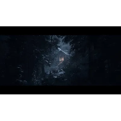 Until Dawn STEAM•RU АВТОДОСТАВКА 0% - irongamers.ru