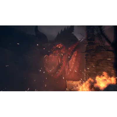 DRAGON&acute;S DOGMA 2 XBOX X|S КЛЮЧ - irongamers.ru