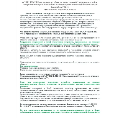 A.1 ПБ 115.24 Основы ПБ (сентябрь 2024) - irongamers.ru