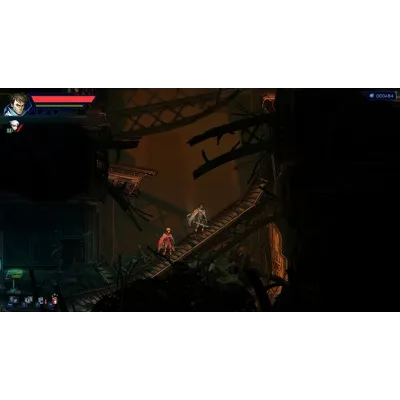 Anima Flux | АВТОДОСТАВКА [Россия Steam Gift] - irongamers.ru