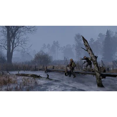 DayZ Frostline | АВТОДОСТАВКА [Россия Steam Gift] - irongamers.ru
