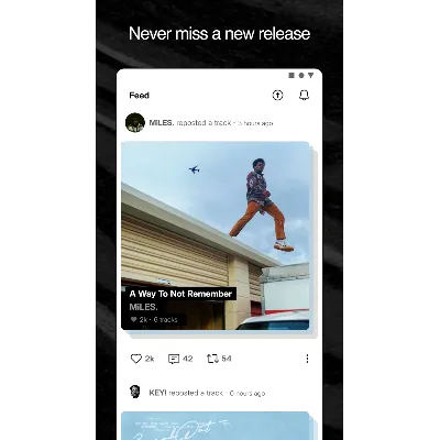 SoundCloud Artist Pro | 1/12 мес. на Ваш аккаунт - irongamers.ru