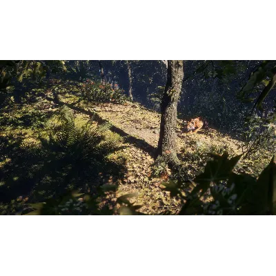 THEHUNTER: CALL OF THE WILD - SUNDARPATAN NEPAL XBOX - irongamers.ru