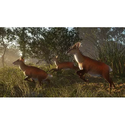 THEHUNTER: CALL OF THE WILD - SUNDARPATAN NEPAL XBOX - irongamers.ru