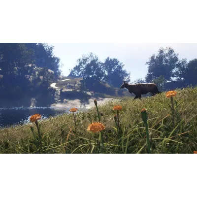 THEHUNTER: CALL OF THE WILD - SUNDARPATAN NEPAL XBOX - irongamers.ru