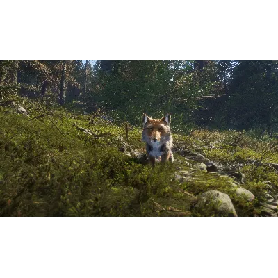 THEHUNTER: CALL OF THE WILD - SUNDARPATAN NEPAL XBOX - irongamers.ru