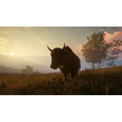 THEHUNTER: CALL OF THE WILD - SUNDARPATAN NEPAL XBOX - irongamers.ru