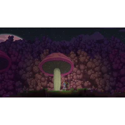 Starbound | АВТОДОСТАВКА [Россия Steam Gift] - irongamers.ru