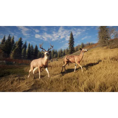 theHunter: Call of the Wild|АВТОДОСТАВКА RU Steam Gift - irongamers.ru