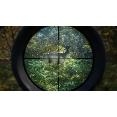 theHunter: Call of the Wild|АВТОДОСТАВКА RU Steam Gift - irongamers.ru