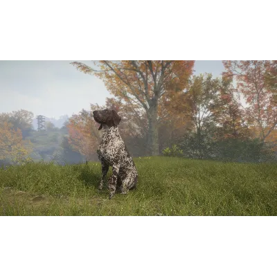 THEHUNTER: CALL OF THE WILD - GERMAN SHORTHAIRED XBOX - irongamers.ru
