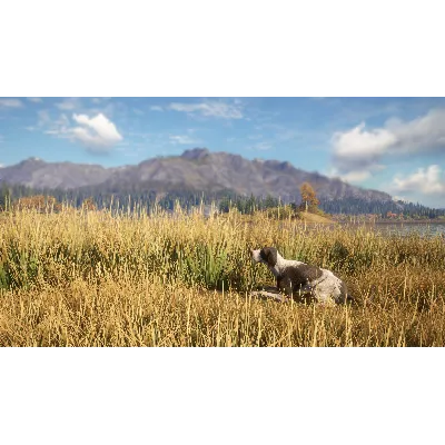 THEHUNTER: CALL OF THE WILD - GERMAN SHORTHAIRED XBOX - irongamers.ru