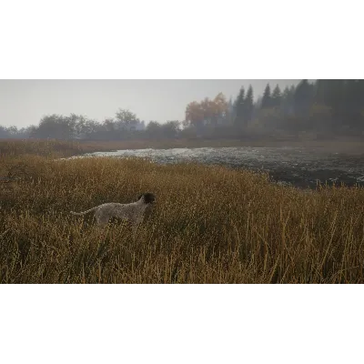 THEHUNTER: CALL OF THE WILD - GERMAN SHORTHAIRED XBOX - irongamers.ru