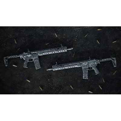 Insurgency: Sandstorm - Night Raven Weapon Skin Set DLC AUTODELIVERY STEAM РОССИЯ - irongamers.ru