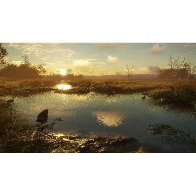 THEHUNTER: CALL OF THE WILD - SALZWIESEN PARK XBOX КОД - irongamers.ru