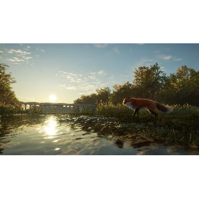 THEHUNTER: CALL OF THE WILD - SALZWIESEN PARK XBOX КОД - irongamers.ru