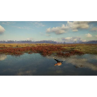 THEHUNTER: CALL OF THE WILD - SALZWIESEN PARK XBOX КОД - irongamers.ru