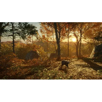 THEHUNTER: CALL OF THE WILD - SALZWIESEN PARK XBOX КОД - irongamers.ru