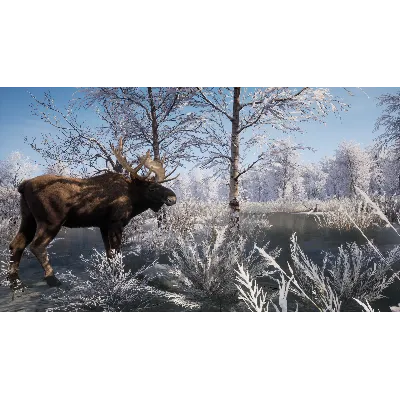 КЛЮЧ СРАЗУ БЕЗ СМЕНЫ IP / Medieval Dynasty / XBOX - irongamers.ru
