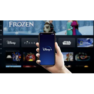 DISNEY PLUS 12 MONTHS WARRANTY - irongamers.ru