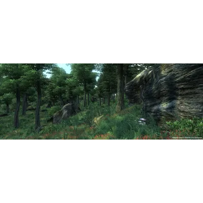 The Elder Scrolls IV: Oblivion Game of the Year Steam - irongamers.ru