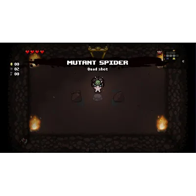 The Binding of Isaac: Rebirth * STEAM RU*KZ*UA*СНГ - irongamers.ru