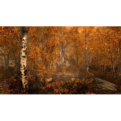 The Elder Scrolls V: Skyrim Special Edition - irongamers.ru