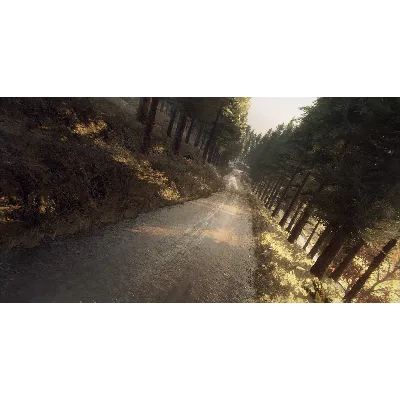 DiRT Rally 2.0 - Colin McRae: FLAT OUT Pack DLC - irongamers.ru