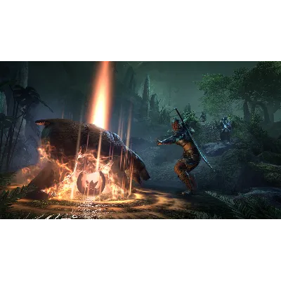 The Elder Scrolls Online Deluxe Collection: Gold Road - irongamers.ru
