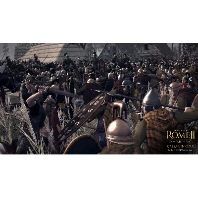 Total War: ROME II - Caesar in Gaul DLC RU*KZ*UA*CIS - irongamers.ru