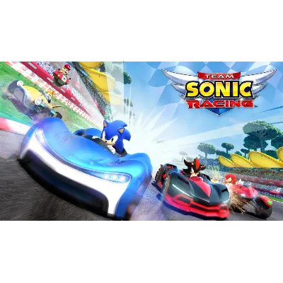 Team Sonic Racing Steam КЛЮЧ - irongamers.ru