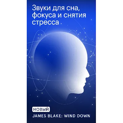 Endel | Подписка 1/12/∞ мес. на Ваш аккаунт - irongamers.ru