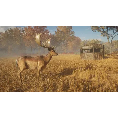 ⭐ theHunter: Call of the Wild - Tents & Ground Blinds D - irongamers.ru