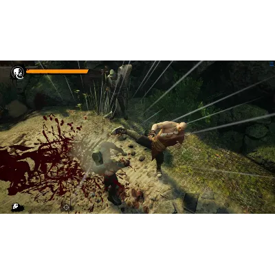 9 MONKEYS OF SHAOLIN + ASH OF GODS + REDEEMER: BUNDLE - irongamers.ru