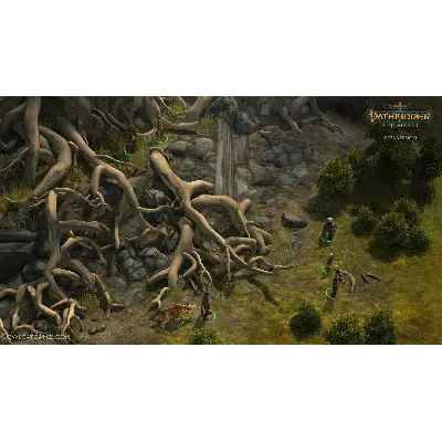 Pathfinder: Kingmaker Imperial Edition Steam КЛЮЧ - irongamers.ru
