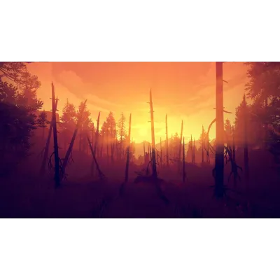 ⭐ Firewatch GOG КЛЮЧ GLOBAL - irongamers.ru