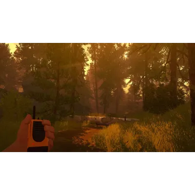⭐ Firewatch GOG КЛЮЧ GLOBAL - irongamers.ru