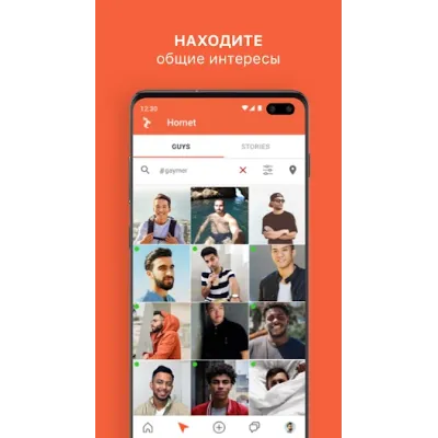 Honey для Hornet [БЕЗ ВХОДА В АККАУНТ] - irongamers.ru
